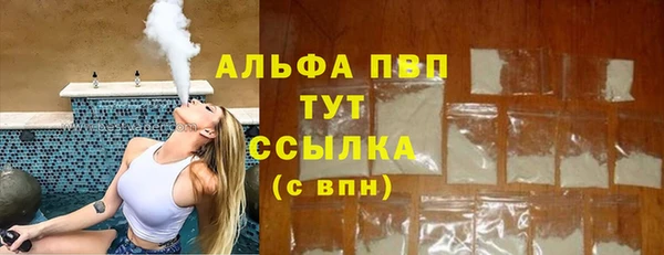 ECSTASY Шали