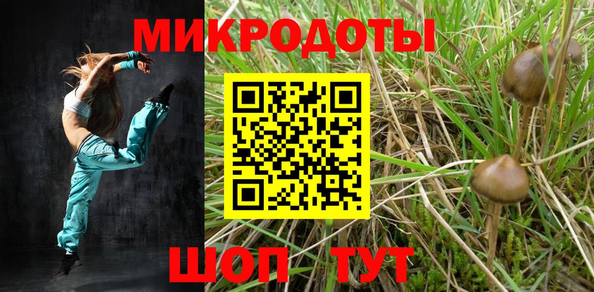 Галлюциногенные грибы прущие грибы Осинники