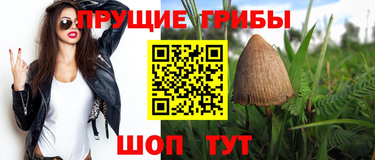 Псилоцибиновые грибы Psilocybe  сколько стоит  Псилоцибиновые грибы MAGIC MUSHROOMS  Осинники  Вход с VPN 