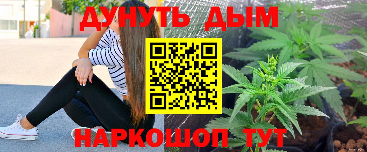 Конопля SATIVA & INDICA  Канабис план  Вход с VPN  Осинники 